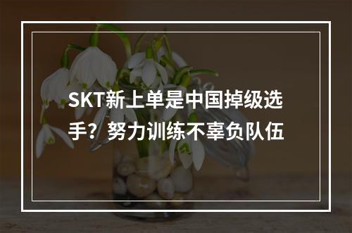 SKT新上单是中国掉级选手？努力训练不辜负队伍