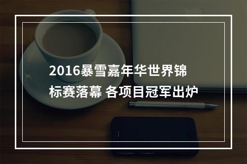 2016暴雪嘉年华世界锦标赛落幕 各项目冠军出炉