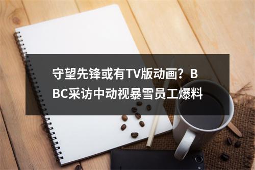 守望先锋或有TV版动画？BBC采访中动视暴雪员工爆料