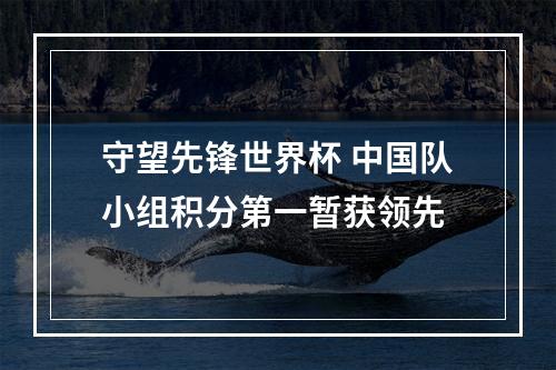 守望先锋世界杯 中国队小组积分第一暂获领先