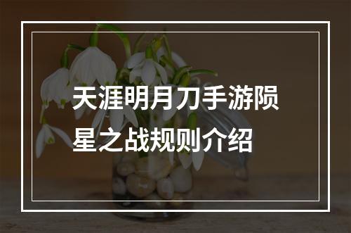 天涯明月刀手游陨星之战规则介绍