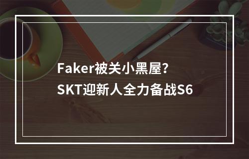 Faker被关小黑屋？ SKT迎新人全力备战S6