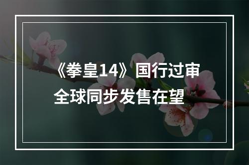 《拳皇14》国行过审 全球同步发售在望