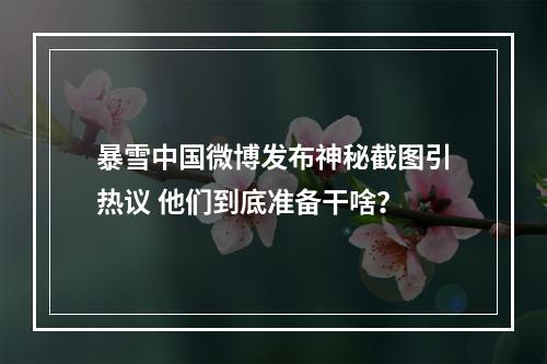 暴雪中国微博发布神秘截图引热议 他们到底准备干啥？