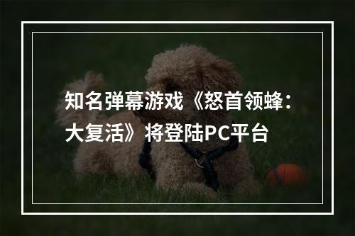 知名弹幕游戏《怒首领蜂：大复活》将登陆PC平台