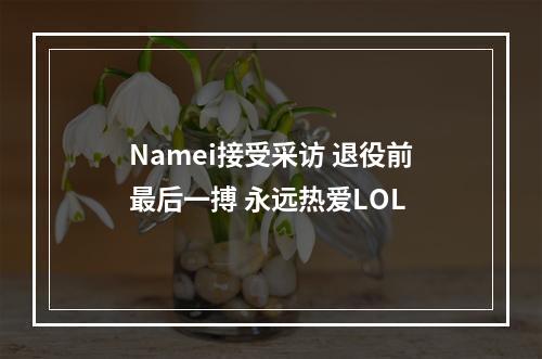 Namei接受采访 退役前最后一搏 永远热爱LOL