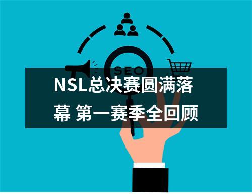 NSL总决赛圆满落幕 第一赛季全回顾