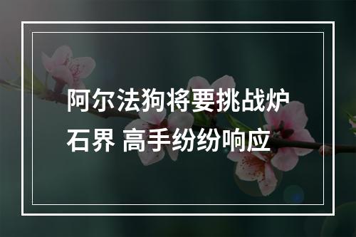 阿尔法狗将要挑战炉石界 高手纷纷响应