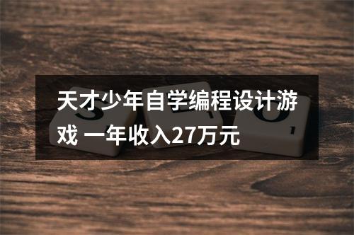 天才少年自学编程设计游戏 一年收入27万元