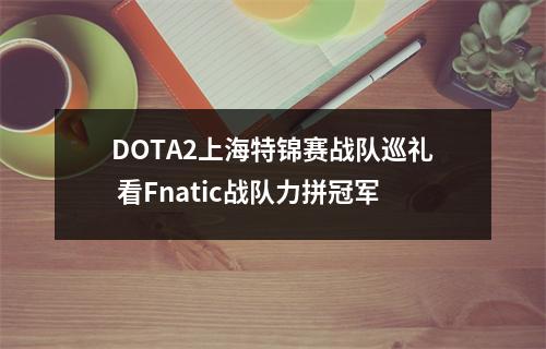 DOTA2上海特锦赛战队巡礼 看Fnatic战队力拼冠军