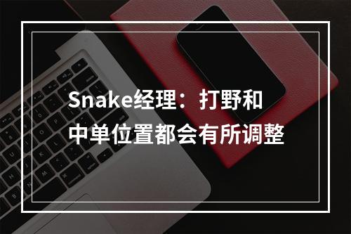 Snake经理：打野和中单位置都会有所调整