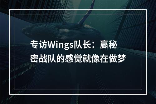 专访Wings队长：赢秘密战队的感觉就像在做梦