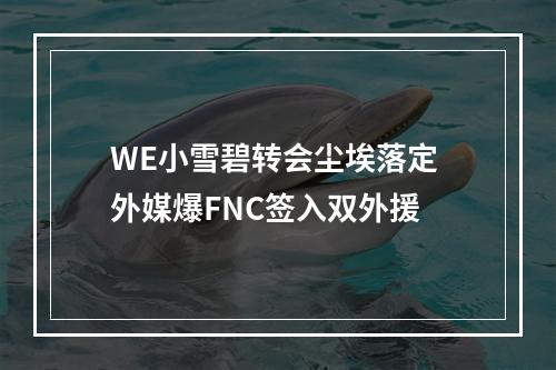 WE小雪碧转会尘埃落定 外媒爆FNC签入双外援