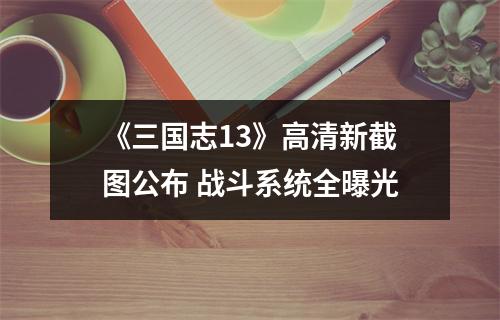 《三国志13》高清新截图公布 战斗系统全曝光