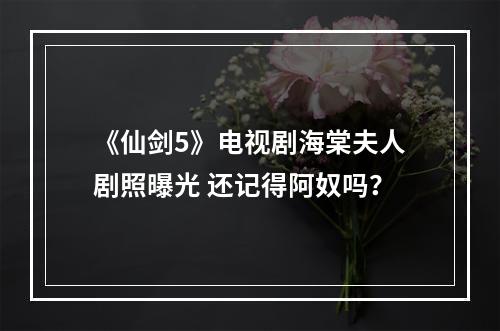 《仙剑5》电视剧海棠夫人剧照曝光 还记得阿奴吗？