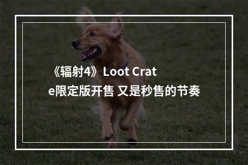 《辐射4》Loot Crate限定版开售 又是秒售的节奏