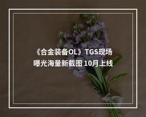 《合金装备OL》TGS现场曝光海量新截图 10月上线