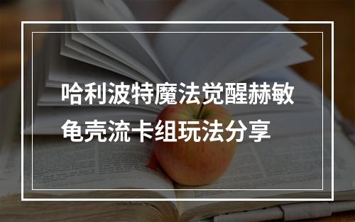 哈利波特魔法觉醒赫敏龟壳流卡组玩法分享