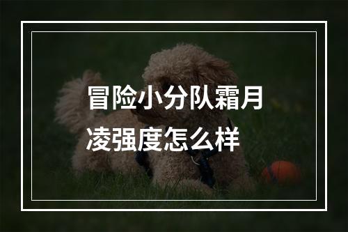 冒险小分队霜月凌强度怎么样