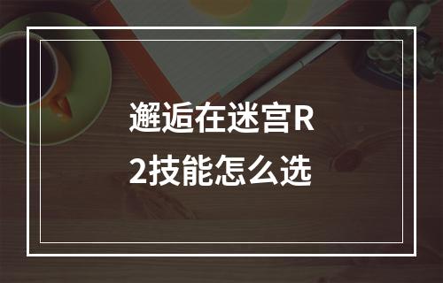 邂逅在迷宫R2技能怎么选