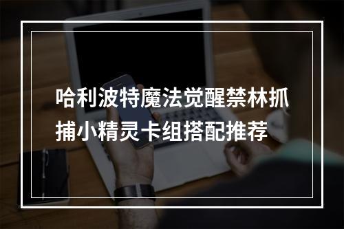 哈利波特魔法觉醒禁林抓捕小精灵卡组搭配推荐