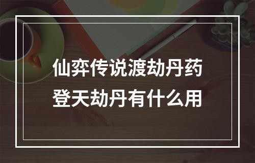 仙弈传说渡劫丹药登天劫丹有什么用