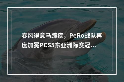 春风得意马蹄疾，PeRo战队再度加冕PCS5东亚洲际赛冠军！