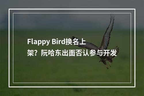 Flappy Bird换名上架？阮哈东出面否认参与开发