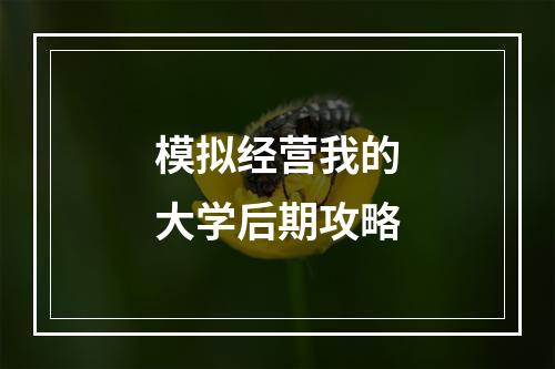 模拟经营我的大学后期攻略