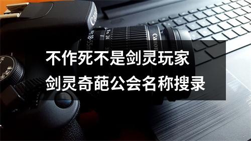 不作死不是剑灵玩家 剑灵奇葩公会名称搜录