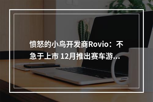 愤怒的小鸟开发商Rovio：不急于上市 12月推出赛车游戏