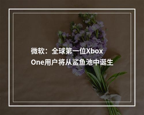 微软：全球第一位Xbox One用户将从鲨鱼池中诞生