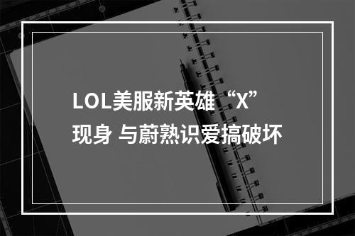 LOL美服新英雄“X”现身 与蔚熟识爱搞破坏