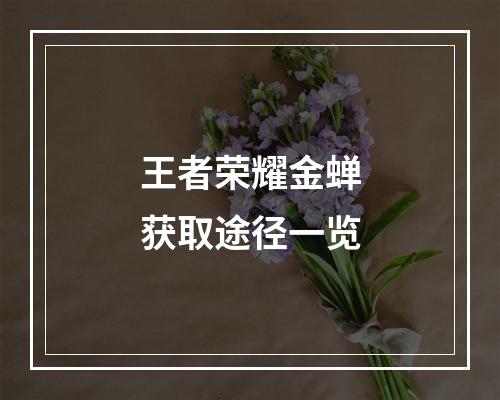 王者荣耀金蝉获取途径一览