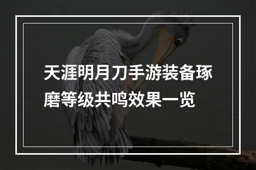 天涯明月刀手游装备琢磨等级共鸣效果一览