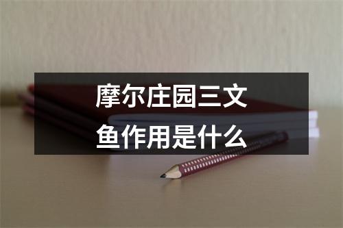 摩尔庄园三文鱼作用是什么