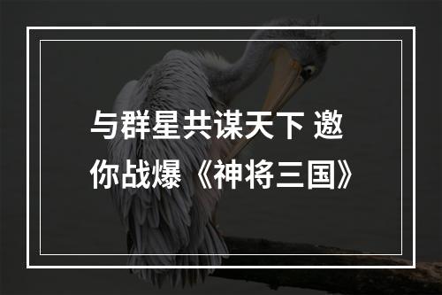 与群星共谋天下 邀你战爆《神将三国》