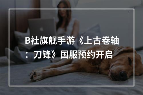 B社旗舰手游《上古卷轴：刀锋》国服预约开启