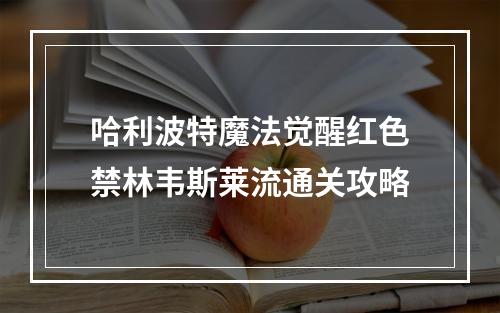 哈利波特魔法觉醒红色禁林韦斯莱流通关攻略