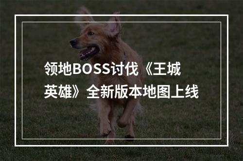 领地BOSS讨伐《王城英雄》全新版本地图上线