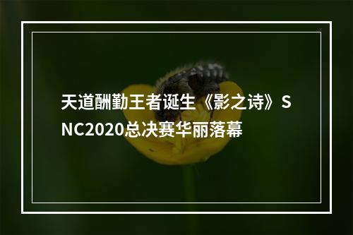 天道酬勤王者诞生《影之诗》SNC2020总决赛华丽落幕