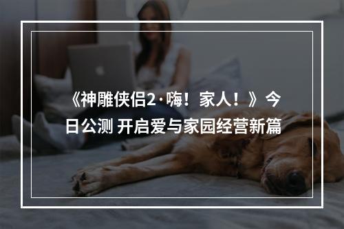 《神雕侠侣2·嗨！家人！》今日公测 开启爱与家园经营新篇