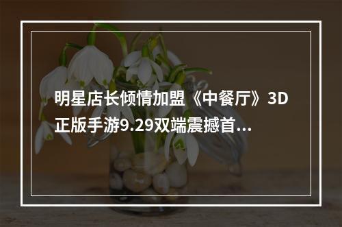 明星店长倾情加盟《中餐厅》3D正版手游9.29双端震撼首发!