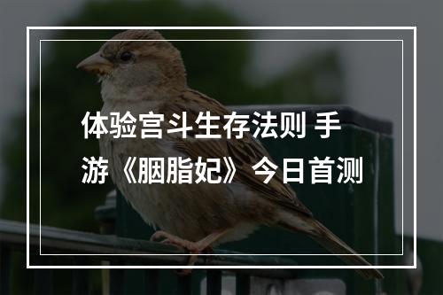 体验宫斗生存法则 手游《胭脂妃》今日首测