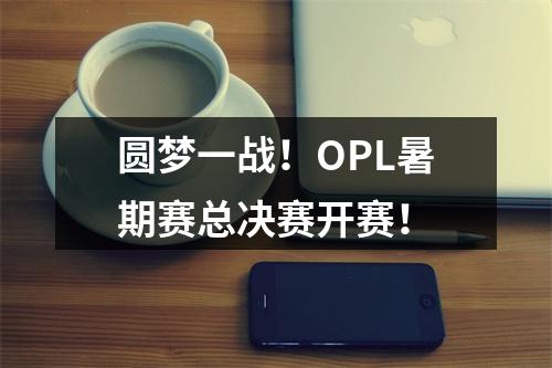 圆梦一战！OPL暑期赛总决赛开赛！