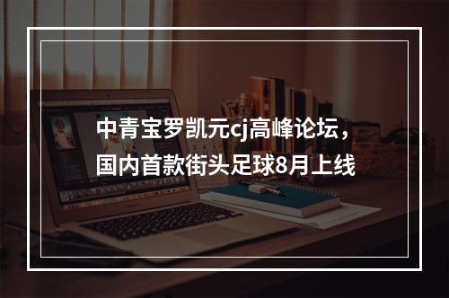 中青宝罗凯元cj高峰论坛，国内首款街头足球8月上线