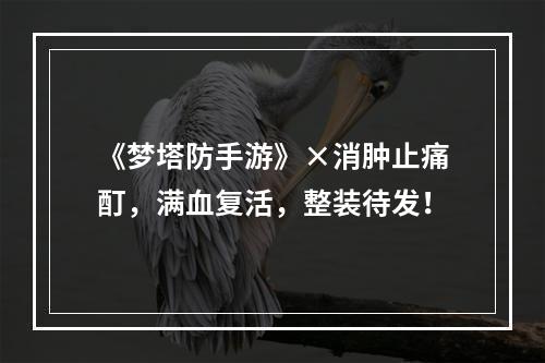 《梦塔防手游》×消肿止痛酊，满血复活，整装待发！