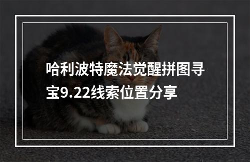 哈利波特魔法觉醒拼图寻宝9.22线索位置分享