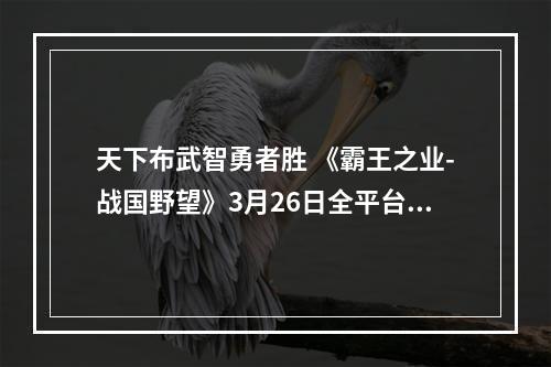 天下布武智勇者胜 《霸王之业-战国野望》3月26日全平台上线