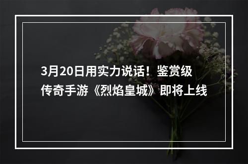 3月20日用实力说话！鉴赏级传奇手游《烈焰皇城》即将上线